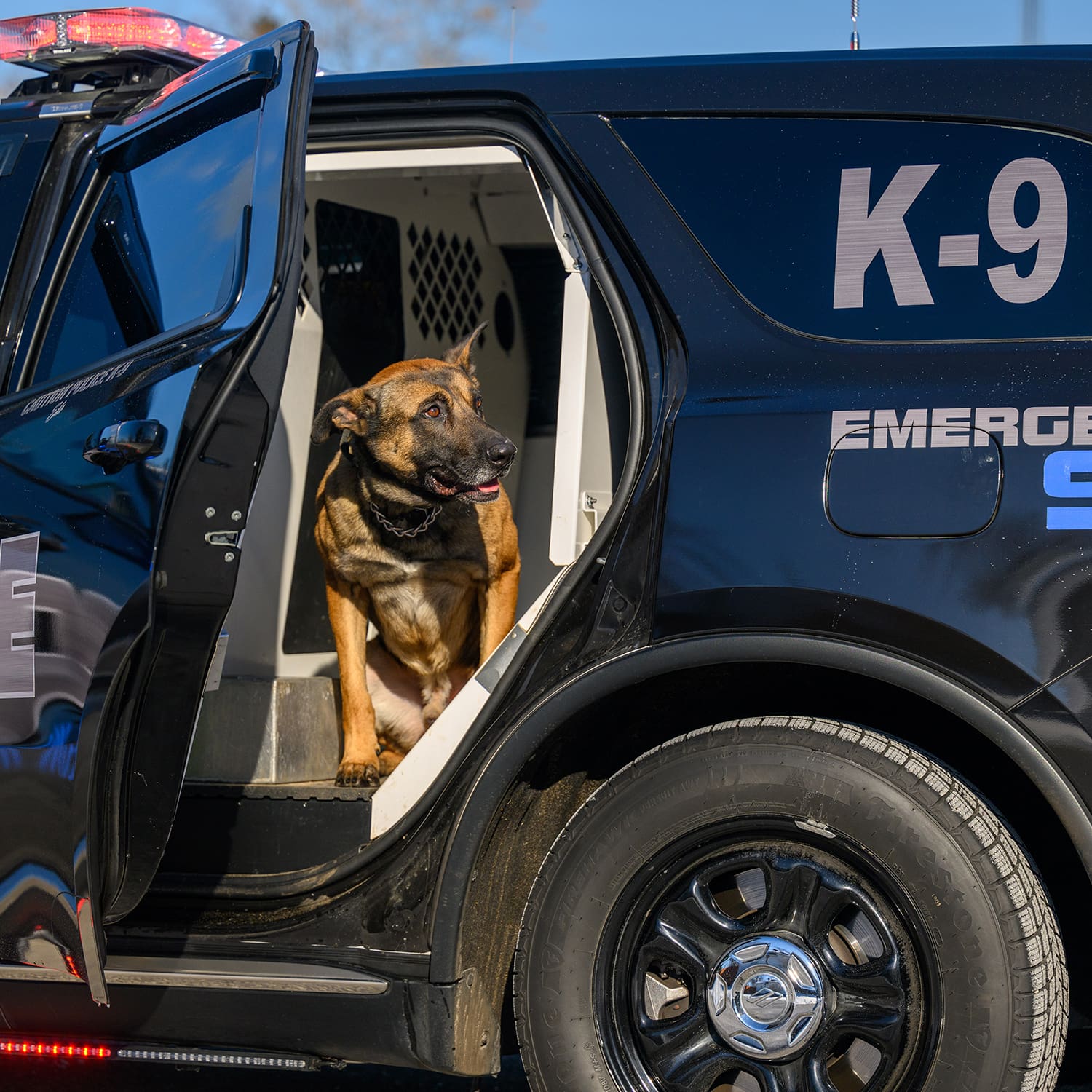 Police K9